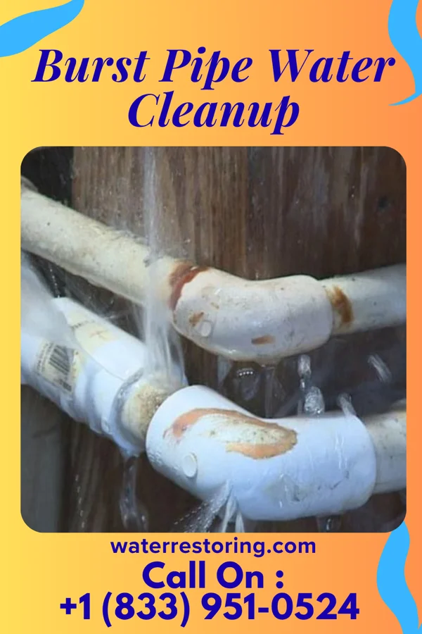 Burst Pipe Water Cleanup in Pajaro Dunes, CA